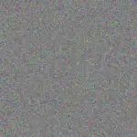 Mandy Arendse mandy-arendse-rene-bosman-1756421158.jpeg