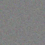 Marlene Govender marlene-govender-lizelle-jooste-1756421344.jpeg