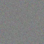 Marta Yost marta-yost-savanna-cronin-1756420529.jpeg