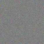 Michael Baker michael-baker-tiffany-rose-1756420150.jpeg