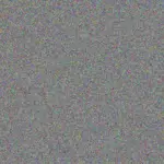 Miller Dach miller-dach-spencer-jakubowski-1756420507.jpeg