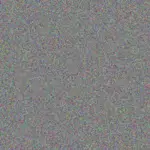 Miss David miss-david-leigh-vosloo-1756421184.jpeg