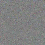 Misty Huel misty-huel-laura-zemlak-1756420574.jpeg