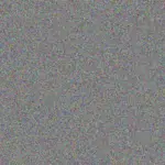 Molly Wilkinson molly-wilkinson-zach-anderson-1756420125.jpeg