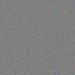 Musa Maree musa-maree-cynthia-steyn-1756421289.jpeg