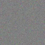 Neil Boshoff neil-boshoff-phumzile-lewis-1756421188.jpeg