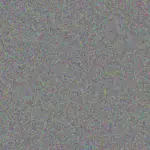 Neil Brink neil-brink-lesley-mogale-1756420780.jpeg