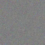 Nick Clarke nick-clarke-diane-van-staden-1756421193.jpeg