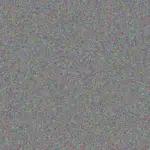 Nicolaas Blignaut nicolaas-blignaut-siphokazi-ntombela-1756420372.jpeg