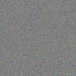 Nicole Pule nicole-pule-steve-vosloo-1756420794.jpeg