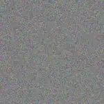 Nicole Turner nicole-turner-gillian-truter-1756420953.jpeg