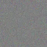 Nokuthula Fourie nokuthula-fourie-precious-bothma-1756420923.jpeg