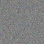 Nompumelelo Maree nompumelelo-maree-megan-bosch-1756420413.jpeg