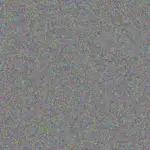 nonkululeko de Beer nonkululeko-de-beer-carmen-james-1756421098.jpeg