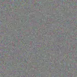 Patience Rautenbach patience-rautenbach-charl-van-den-berg-1756420898.jpeg