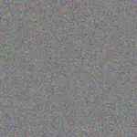 Quentin Kelly quentin-kelly-kirsten-thompson-1756420161.jpeg