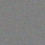 Quentin Predovic quentin-predovic-elsa-bauch-1756420619.jpeg