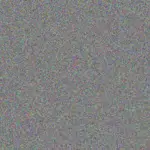 Riaan Brown riaan-brown-jacqueline-nene-1756420412.jpeg