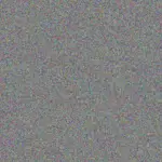 Roger Scott roger-scott-next-bosch-1756421302.jpeg