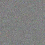 Ronel Els ronel-els-shane-khosa-1756421244.jpeg