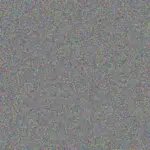 Roxanne Du Preez roxanne-du-preez-frederick-khanyile-1756421291.jpeg