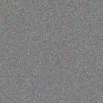 Rusty Mills rusty-mills-nella-boehm-1756420665.jpeg