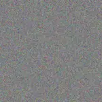 Ruth May ruth-may-mohamed-molefe-1756420890.jpeg