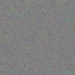 Sean Koen sean-koen-fiona-maluleke-1756420804.jpeg