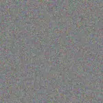 Shane Louw shane-louw-dean-carstens-1756420871.jpeg