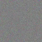 Sibongile Hugo sibongile-hugo-mogamat-viljoen-1756420921.jpeg