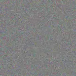 sibongile Zuma sibongile-zuma-brenda-meyer-1756421293.jpeg