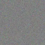 siphokazi Zondo siphokazi-zondo-nomfundo-beukes-1756421303.jpeg