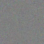 Tamara Sauer tamara-sauer-cassie-sawayn-1756420678.jpeg