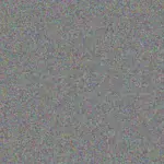 Tara Murray tara-murray-frank-butler-1756420180.jpeg