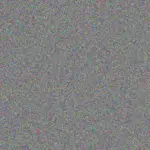 Thandi Coetzer thandi-coetzer-gert-mulder-1756420833.jpeg