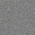 Trevor Andrews trevor-andrews-nozipho-du-plessis-1756421000.jpeg