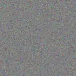 Wade Rempel wade-rempel-tiana-tillman-1756420484.jpeg