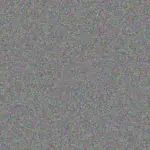 Wayne Kelly wayne-kelly-nick-hughes-1756420179.jpeg