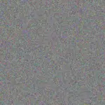 Wendy De Bruin wendy-de-bruin-irene-munyai-1756421070.jpeg