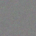 Winston Zulauf winston-zulauf-yolanda-haley-1756420734.jpeg