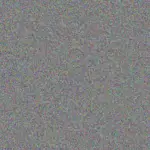 your Zulu your-zulu-deon-van-rensburg-1756420424.jpeg