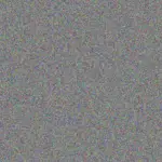 Zackery Stoltenberg zackery-stoltenberg-gunner-kohler-1756420623.jpeg