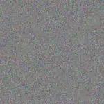 Zanele Koekemoer zanele-koekemoer-nosipho-reddy-1756420340.jpeg