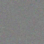 Zanele Mkhize zanele-mkhize-sonja-wright-1756421187.jpeg