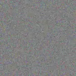 Zelda Adonis zelda-adonis-lee-kumar-1756420354.jpeg