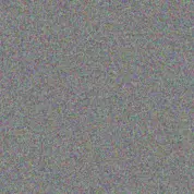 Alison Bailey oliver reynolds