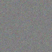 Alison Bekker nicolette bekker