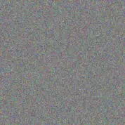 Alison Bekker nozipho kok