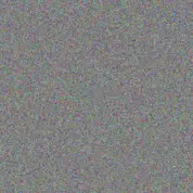 Alison Bekker shawn madlala