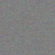 Anastasia Reilly antonetta marks